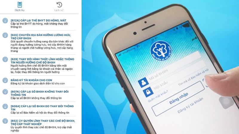 Các thủ tục có thể thực hiện qua VssID (Nguồn: VssiD)