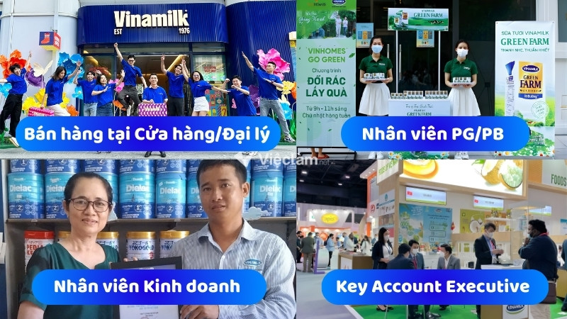 Các vị trí Bán hàng đang được tuyển dụng phổ biến tại Vinamilk hiện nay
