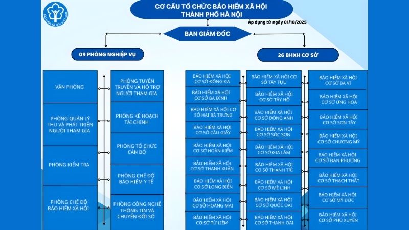 Sơ đồ cơ cấu tổ chức bộ máy BHXH thành phố Hà Nội (Nguồn: BHXH Hà Nội)