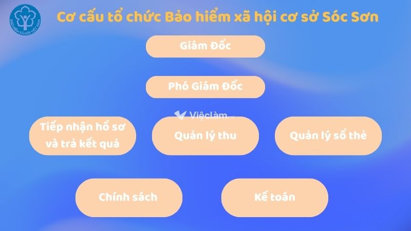 Sơ đồ Cơ cấu tổ chức của Bảo hiểm xã hội huyện Sóc Sơn