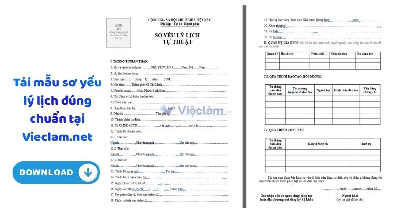 Tải mẫu sơ yếu lý lịch đúng chuẩn tại Vieclam.net