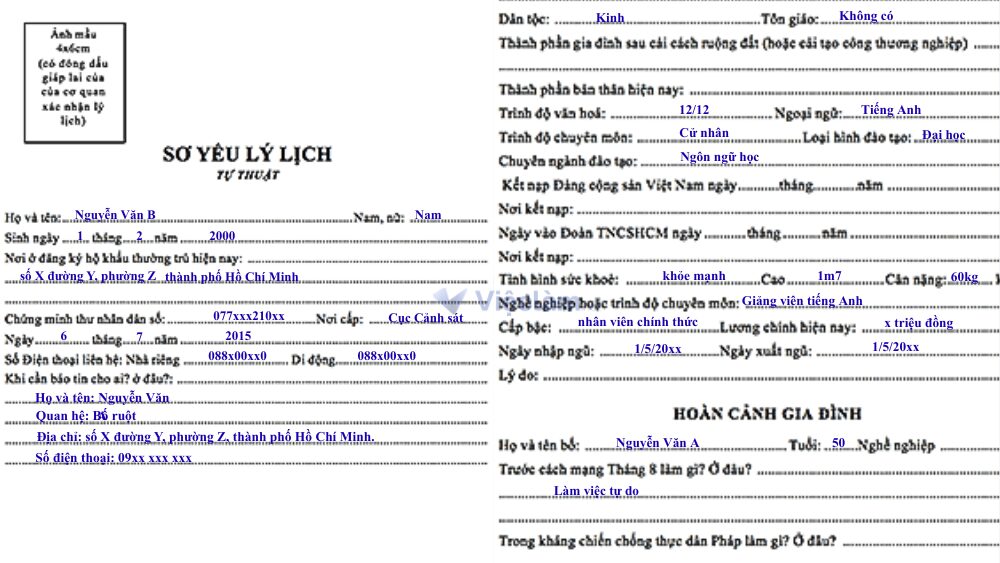 Trang Vieclam.net hướng dẫn chi tiết cách điền sơ yếu lý lịch