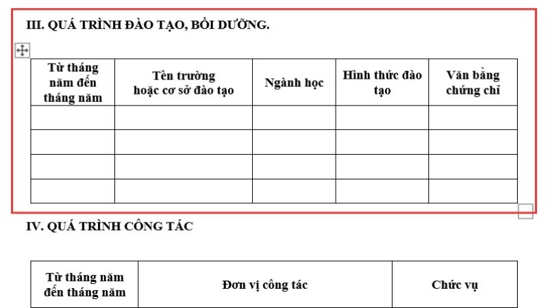 Quá trình đào tạo trong sơ yếu lý lịch là một trong những mục quan trọng