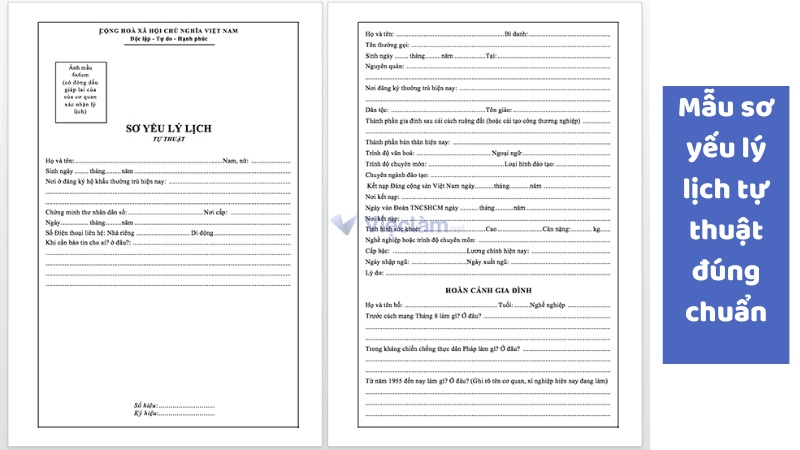 Mẫu sơ yếu lý lịch đúng chuẩn tại Vieclam.net