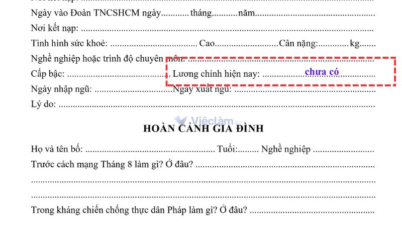 Có thể để trống hoặc điền "chưa có" nếu là sinh viên mới ra trường
