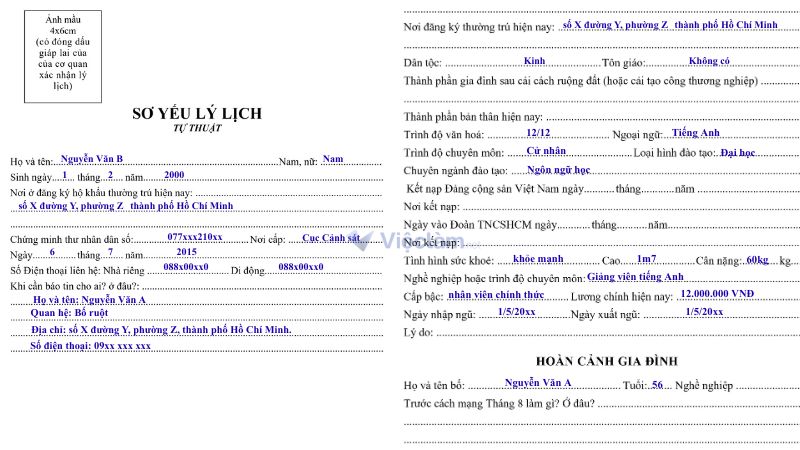 Vieclam.net hướng dẫn cách điền sơ yếu lý lịch chi tiết