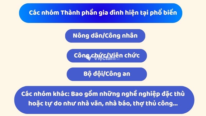 Các nhóm Thành phần gia đình hiện tại phổ biến trong Sơ yếu lý lịch