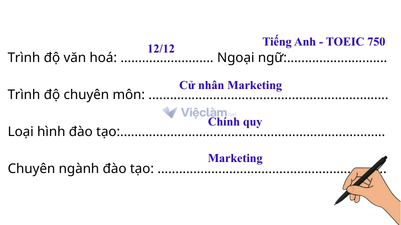 Mẫu hướng dẫn cách điền "Văn bằng, chứng chỉ" ở mục trình độ văn hóa/chuyên môn