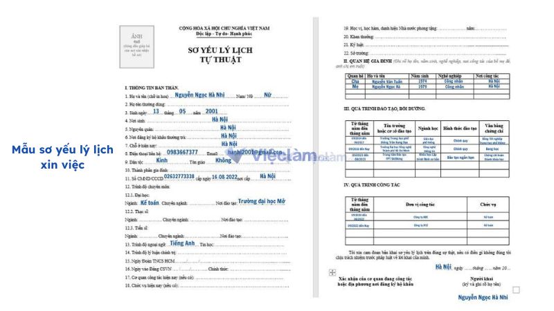 Cách ghi tình trạng sức khỏe trong sơ yếu lý lịch Tải mẫu sơ yếu lý lịch chuyên nghiệp tại Vieclam.net