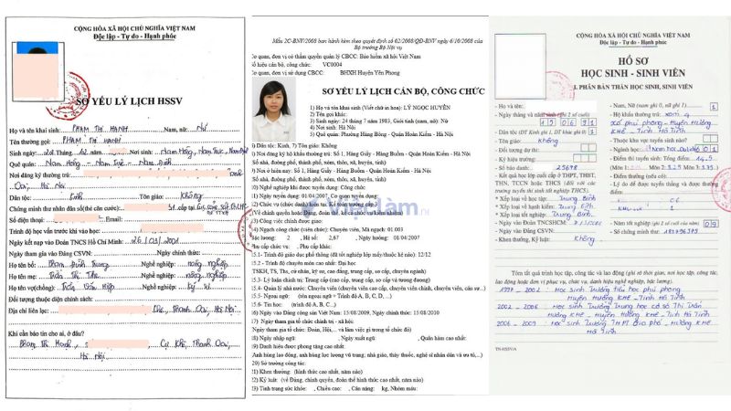 Tải mẫu sơ yếu lý lịch đúng chuẩn tại Vieclam.net