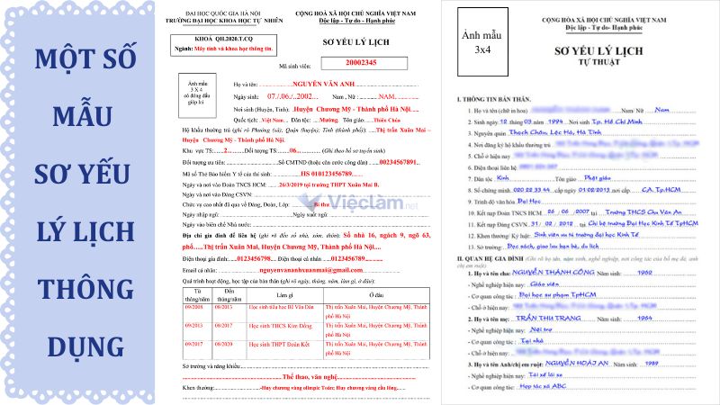 Tải mẫu sơ yếu lý lịch đúng chuẩn tại Vieclam.net