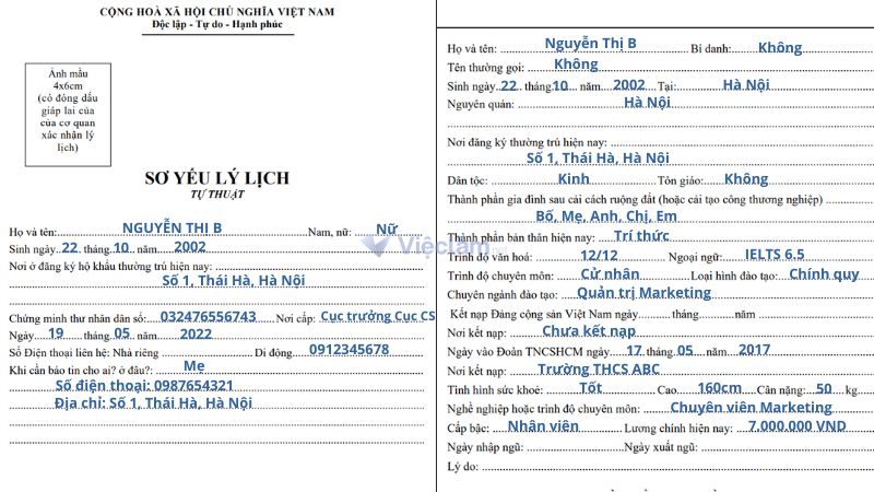 Cách ghi mục Thông tin cá nhân trong Sơ yếu lý lịch tự thuật