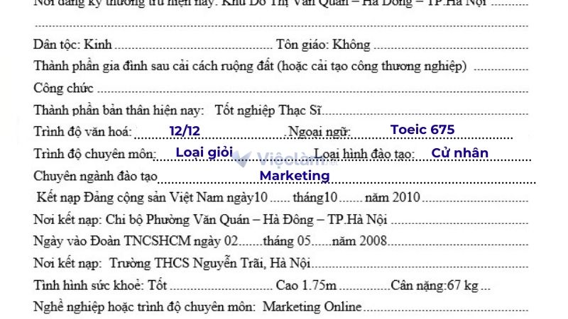 Cách điền phần trình độ  và chuyên môn trong sơ yếu lý lịch