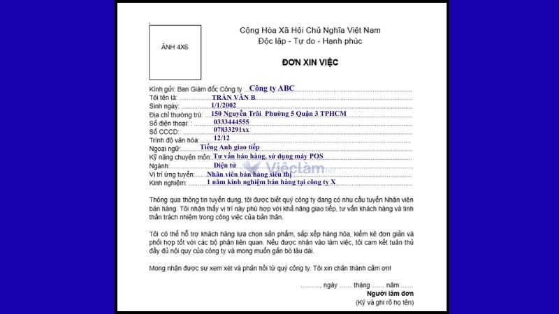 Mẫu đơn xin việc bán hàng và hướng dẫn cách điền chi tiết Mẫu đơn xin việc bán hàng dùng chung