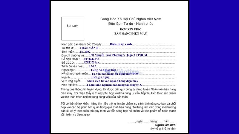 Mẫu đơn xin việc bán hàng và hướng dẫn cách điền chi tiết Mẫu đơn xin việc nhân viên bán hàng điện máy