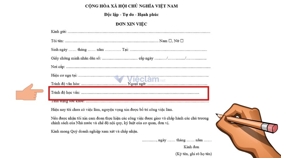 Hướng dẫn chi tiết cách viết Trình độ học vấn trong Đơn xin việc