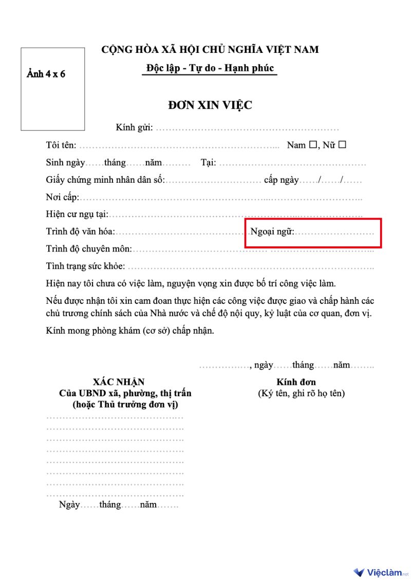 Ngoại ngữ trong đơn xin việc được ghi thành mục "Ngoại ngữ" riêng