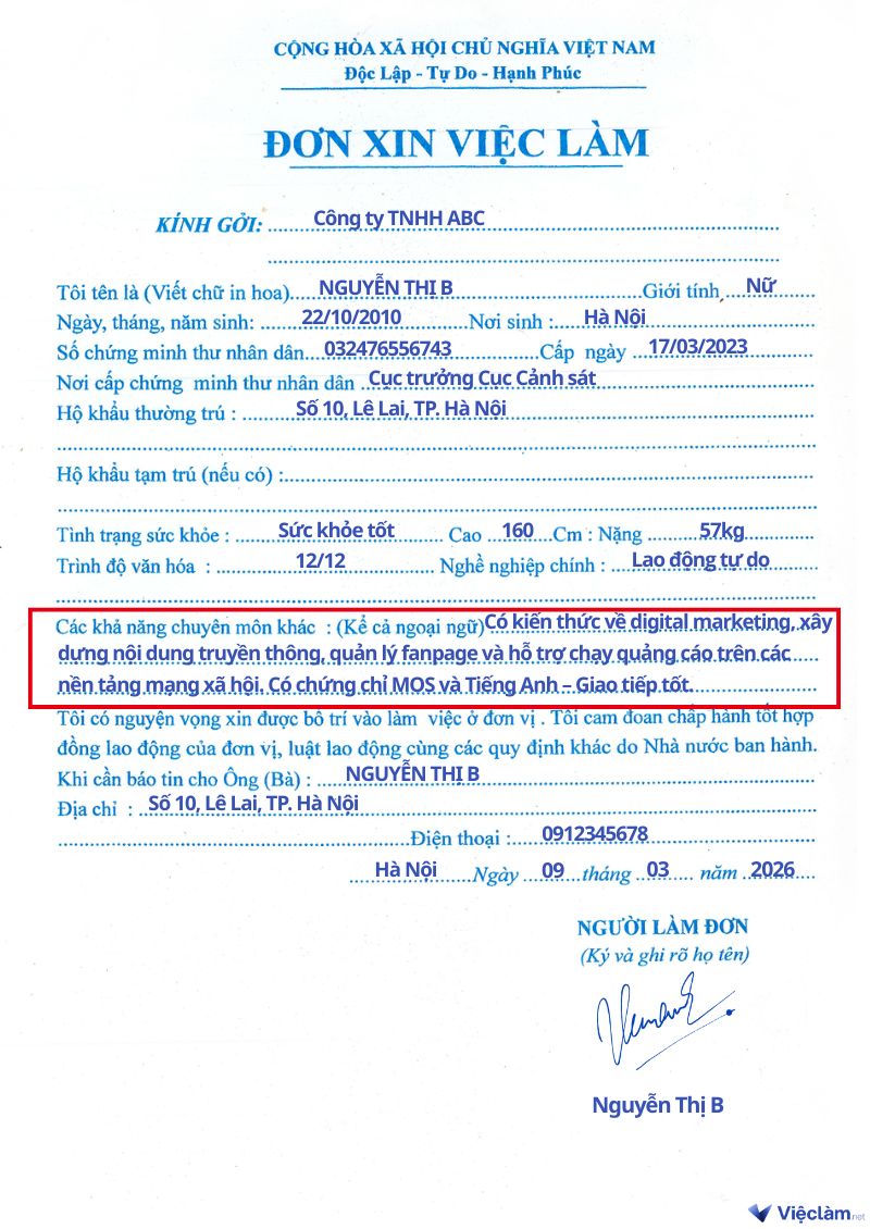 Cách viết ngoại ngữ trong đơn xin việc ở mục "Các khả năng chuyên môn khác"