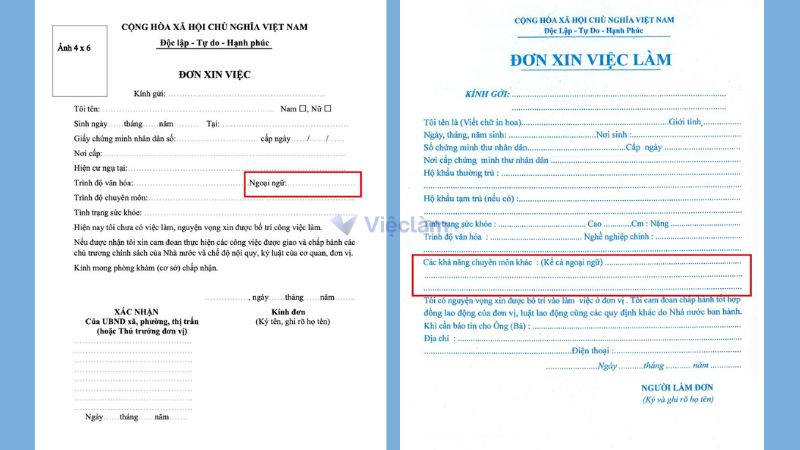 Cách viết phần ngoại ngữ trong Đơn xin việc đúng chuẩn