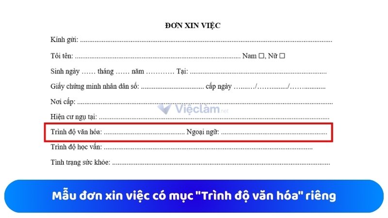 Mẫu đơn xin việc có mục "Trình độ văn hóa" riêng