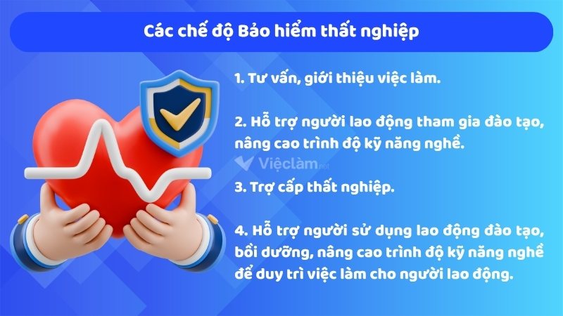 Người lao động cần nắm rõ 04 chế độ Bảo hiểm thất nghiệp để đảm bảo quyền lợi bản thân