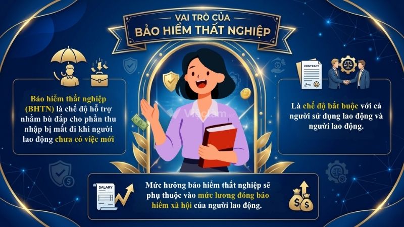 Vai trò của bảo hiểm thất nghiệp