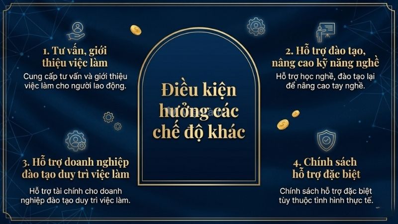 Các chế độ khác của bảo hiểm thất nghiệp