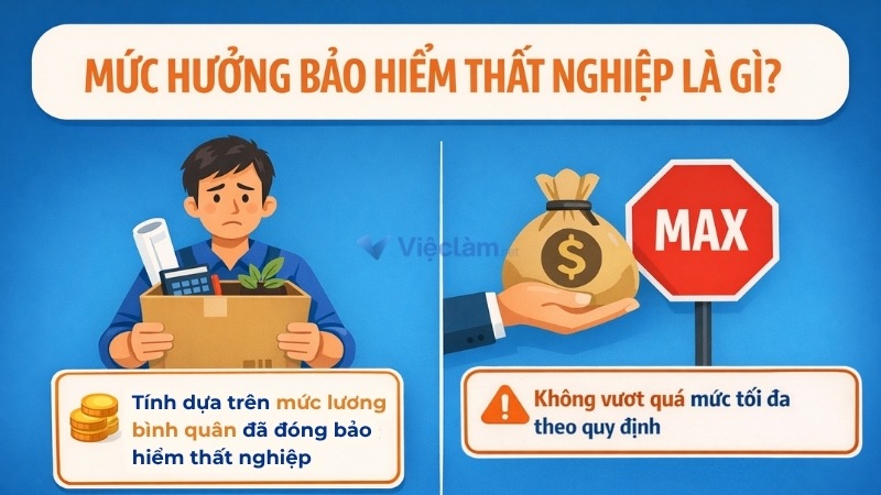 Mức hưởng bảo hiểm thất nghiệp theo quy định mới nhất Hiểu đúng về bảo hiểm thấp nghiệp