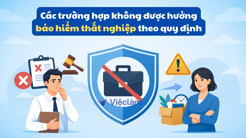 Các trường hợp không được hưởng bảo hiểm thất nghiệp theo quy định Các trường hợp không được hưởng bảo hiểm thất nghiệp theo quy định