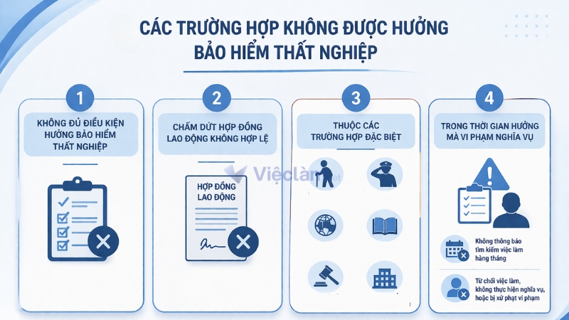 Các trường hợp không được hưởng bảo hiểm thất nghiệp theo quy định Các trường hợp không được hưởng bảo hiểm thất nghiệp