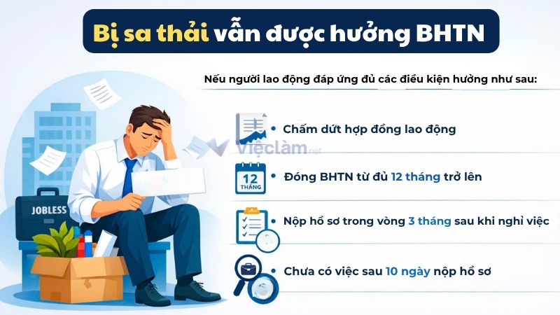 Quy định hưởng Bảo hiểm thất nghiệp khi người lao động bị sa thải Bị sa thải vẫn được hưởng bảo hiểm thất nghiệp theo quy định